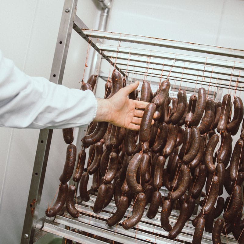 Alberto Levi - Ambiti di competenza